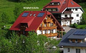 Schwarzwald Aparthotel Kräutle